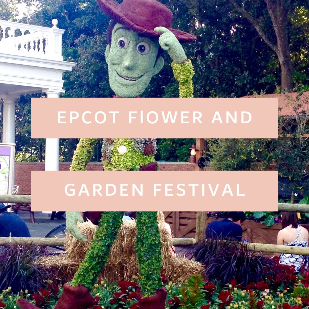 EPCOT Flower and Garden Woody Cover.jpeg